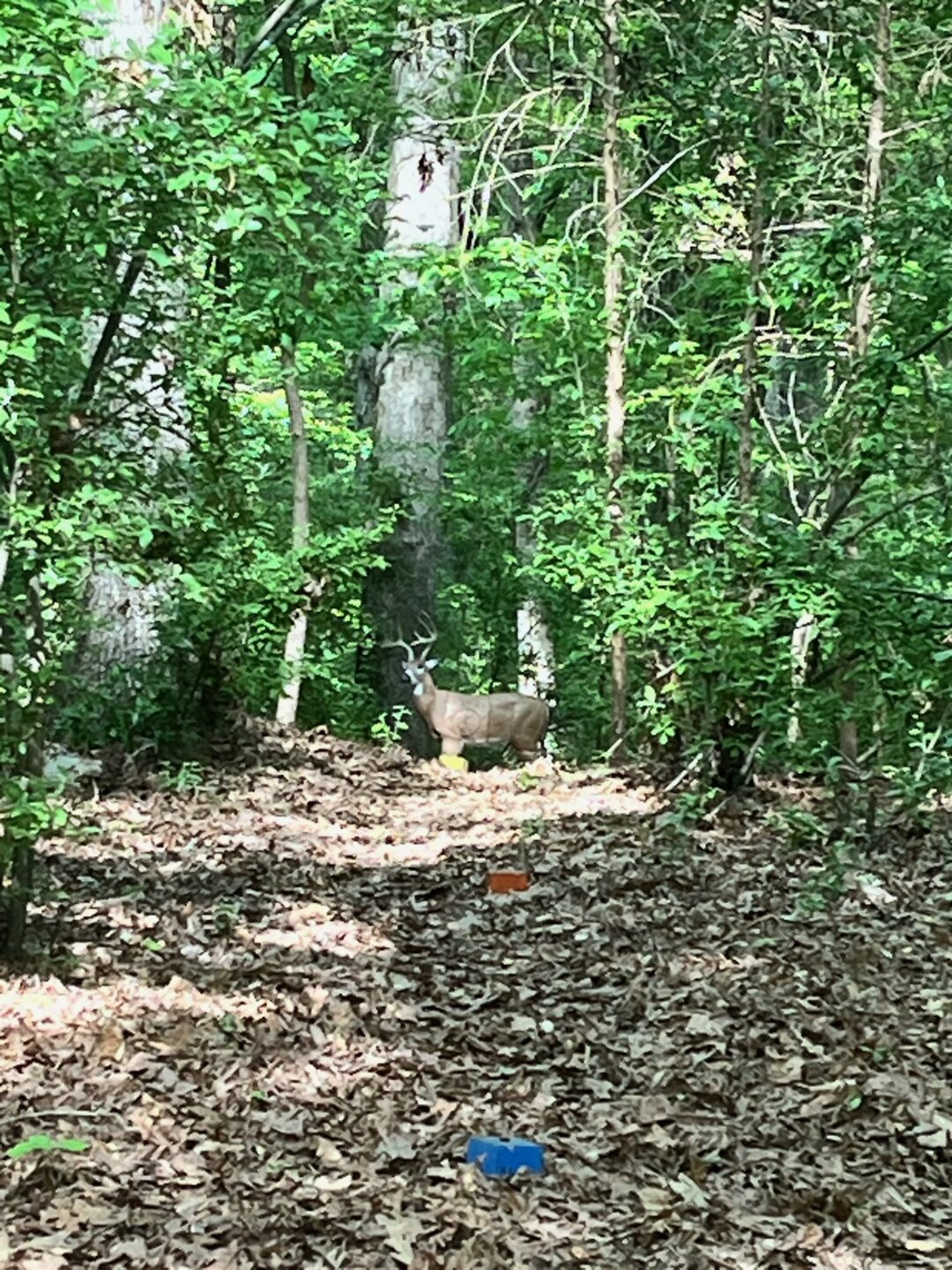 Robin Hood Archery Outdoor Range