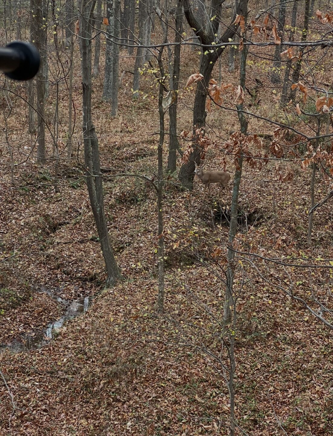 Southern Draw Archery Gallery