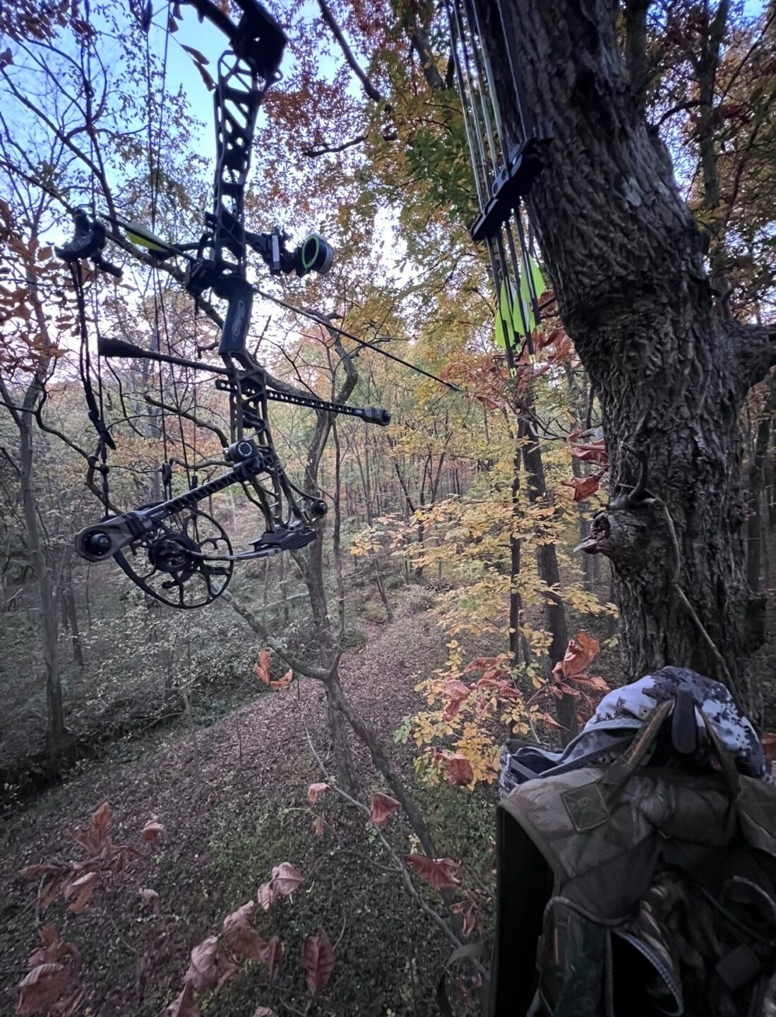 Southern Draw Archery Gallery