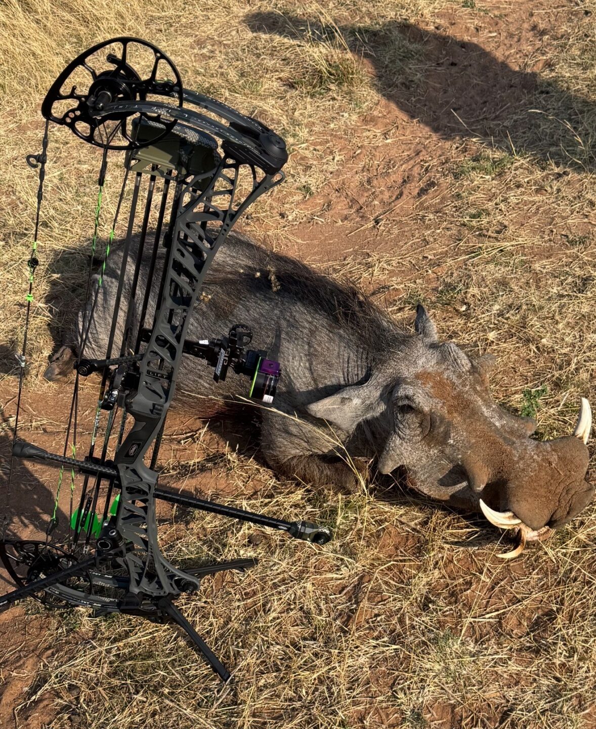 Southern Draw Archery Gallery