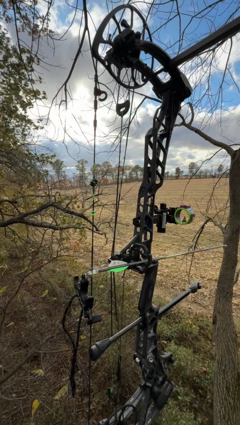 Compound bows at Southern Draw Archery