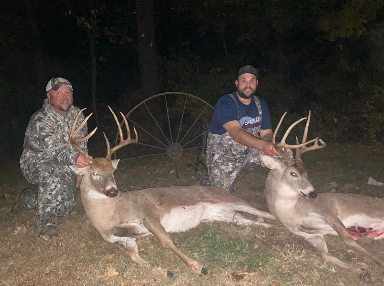 Bowhunting compound bow
